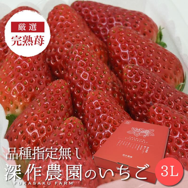 いちご イチゴ 苺 果物 ギフト 旬 フルーツ 品種指定なし プレミアムパック 3Lサイズ×4パック