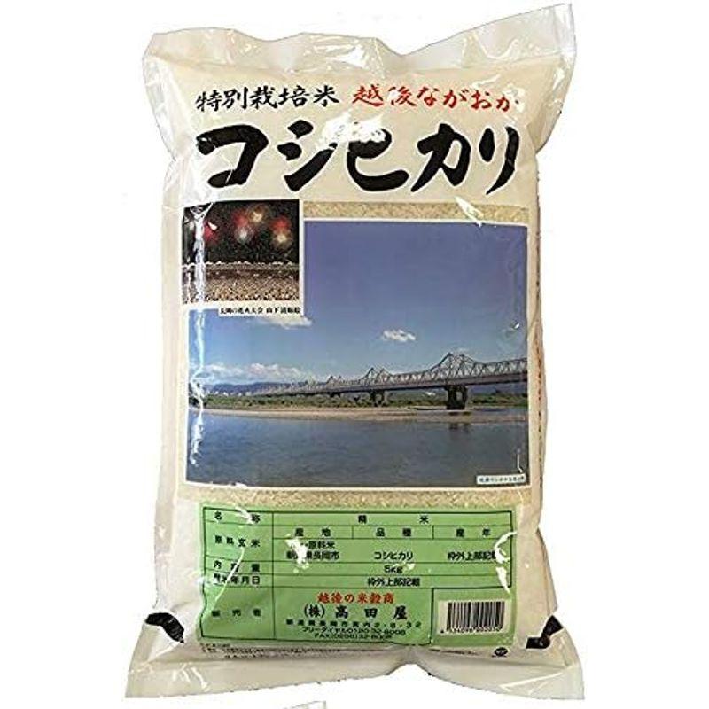 精白米 5kg 新潟産(長岡産)コシヒカリ 令和3年産 安心安全な特別栽培米