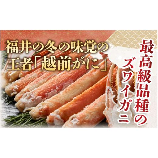 ふるさと納税 福井県 高浜町 福井県産 越前がに×1杯（プロトン凍結）