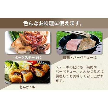 ふるさと納税 HB-111 THE HOUBOQ 豚肉 ステーキ用 肩ロース 宮崎県椎葉村