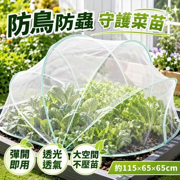 🔥防蟲網罩 植物防蟲罩 果樹防鳥網 大棚蔬菜防護網 花園綠植保護罩 農用果園種植網 通風透氣耐用款 園藝防護用品 戶外