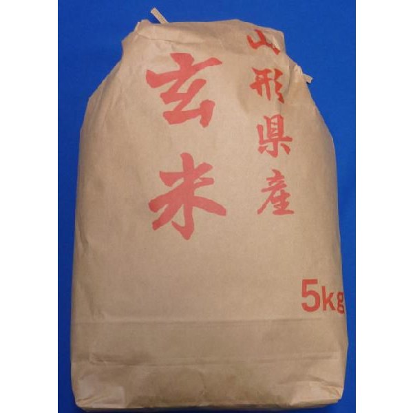 令和5年産 山形県産 コシヒカリ 玄米5kg