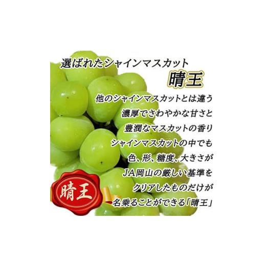 ふるさと納税 岡山県 岡山市 ぶどう 2024年 先行予約 岡山 名産 晴王 シャイン マスカット たっぷり2kg！9月上旬以降順次発送 ギフトにも ブドウ 葡萄 岡山県…