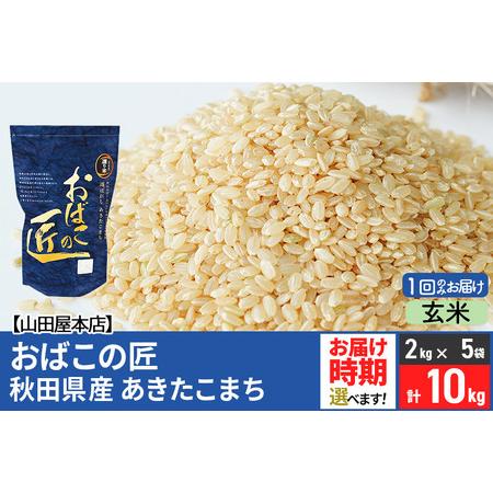 ふるさと納税 令和5年産 おばこの匠 秋田県産あきたこまち 10kg（2kg×5袋）秋田こまち お米 配送時期選べる 秋田県美郷町