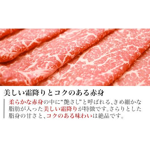 ふるさと納税 佐賀県 唐津市 佐賀牛切り落とし 500g (佐賀牛ウデ モモ バラ肉のいずれか) すき焼き しゃぶしゃぶ ギフト 「2023年 令和5年」