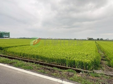 F004宜蘭壯圍美農地｜宜蘭縣壯圍鄉中興段