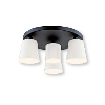 金屬烤漆造型吸頂燈 F37-21-92696