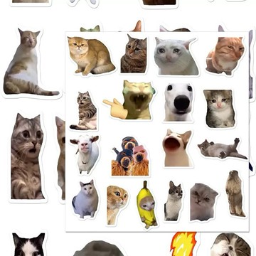 現貨免運⚡️多款50張 迷因貓貼紙 迷因貼紙 搞笑貓咪貼紙 meme梗圖 表情包 貓咪貼紙 抽象搞怪 防水貼紙 筆電貼紙