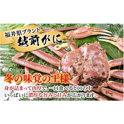 ふるさと納税 福井県 あわら市 茹で越前がに 1杯 750g〜900g（大サイズ以上）《新鮮！茹でたてを発送》／ 高級 福井 ブランド ズワイガニ 黄…