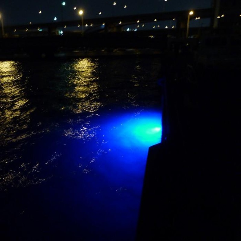 LED 水中集魚灯 水中灯 100w 8000lm 12v 24v 青色 プロ仕様 集魚灯 夜釣り イカ アジ タチウオ 仕掛け 夜焚き |  LINEブランドカタログ