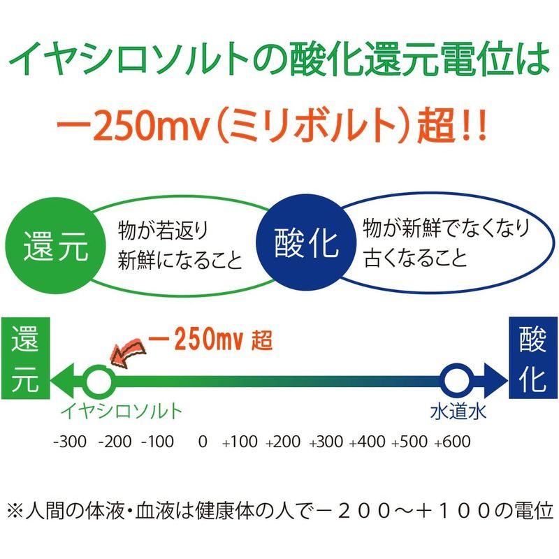 ジュゲン イヤシロソルト 1kg スタンドパック 国産 竹塩 使いやすいサラサラタイプ 還元塩