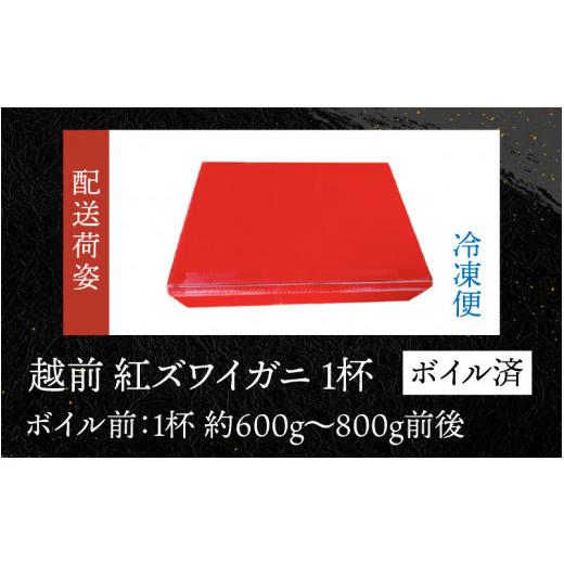 ふるさと納税 福井県 高浜町 福井県産 越前紅ズワイガニ × 1杯