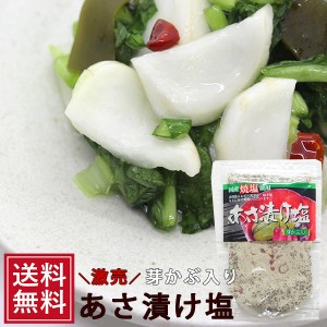 ギフト 浅漬け塩 30袋 セット あさ漬け 調味料 漬物塩 ソルト お取り寄せ 食べ物 暑さ対策 つまみ  お歳暮