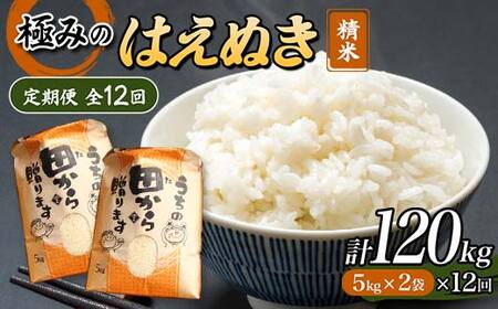 令和5年産 極みのはえぬき 5kg×2（精米）全12回 米 お米 おこめ 山形県 新庄市 F3S-1699