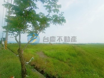 東山伯朗大道旁*臨12米路 小而美農地｜台南市東山區田尾段