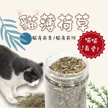 罐裝貓草 有機農場貓薄荷 野生木天蓼 蟲癭果實 有機貓薄荷 木天蓼