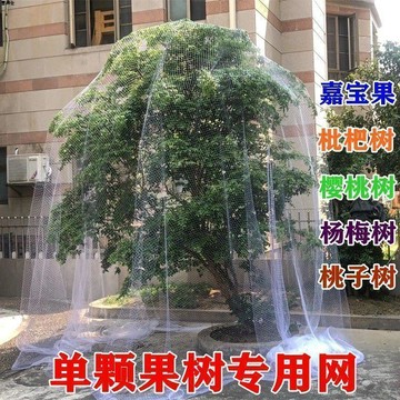 ❤️台灣現貨❤️果樹防鳥罩 菜地陽台保護罩 果樹網 果樹防鳥網 蔬菜網 果樹網 楊梅櫻桃網罩防果蠅蓮霧桃樹藍莓家用網套