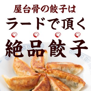 市場で製造直売の餃子! 8パックセット（生餃子、にんにく餃子、市場の辛餃子、にら餃子）