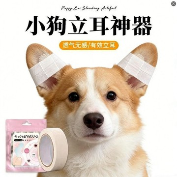 💕新款臻選+99免運🚚小狗立耳神器立耳器立耳豎耳貼幼犬豎耳狗狗專用通用輔助固定器具