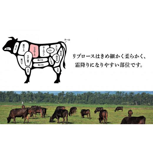 ふるさと納税 北海道 白老町 北海道 白老産 黒毛和牛 リブロース すき焼き 500ｇ (2・3人前)