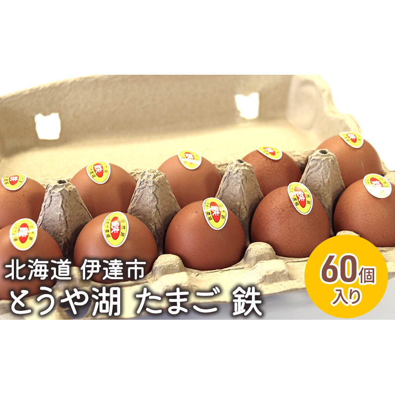 北海道 伊達市 とうや 卵 鉄  60個 入り たまご