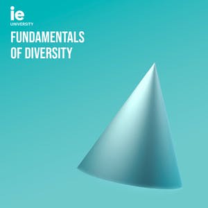 Fundamentals of Diversity