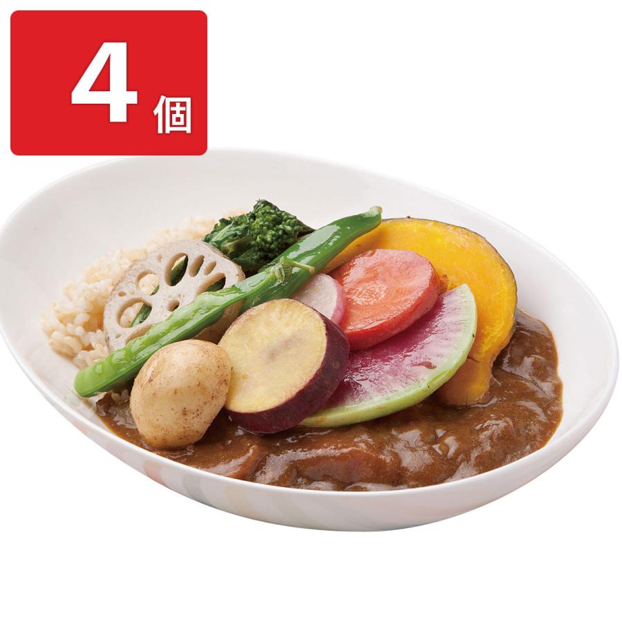 「俺たちの能登」カレー 4個セット カレー 惣菜 野菜カレー 簡単