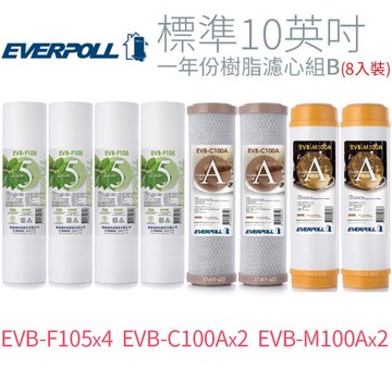 【EVERPOLL】標準10英吋 一年份樹脂濾心組B(8入)
