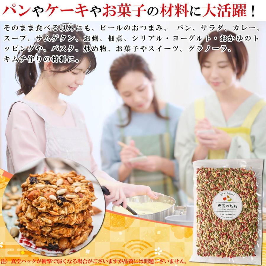 元気のタネ 4種 ミックスナッツ おつまみ 500g（ ひまわりの種 かぼちゃの種 クコの実 松の実 ） ナッツミックス 無塩 無添加 砂糖不使用 食用 ナッツ