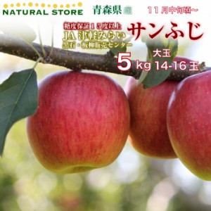 [予約 2023年11月20日-12月31日の納品]  サンふじ 14玉-16玉 大玉 約5kg 青森県産 JA津軽みらい 板柳 黒石販売センター