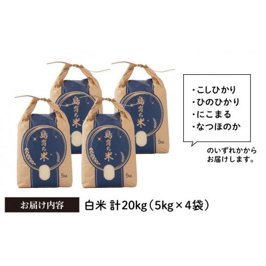 ふるさと納税 長崎県 平戸市 平戸の潮風で育った 米 20kg 平戸市 ／ 平戸瀬戸市場協同組合 [KAA156]