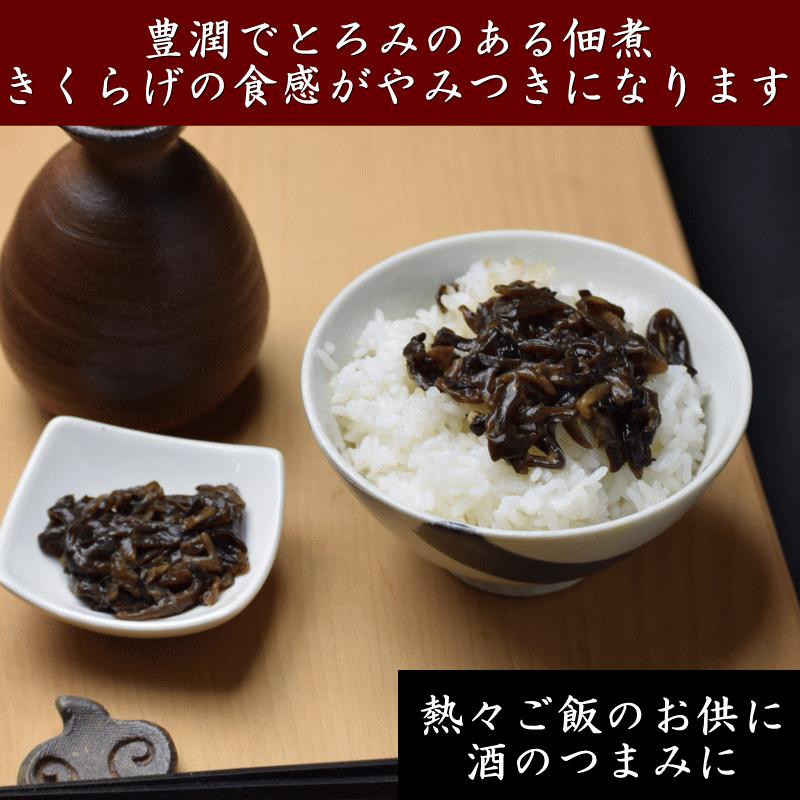 佃煮 きくらげ の塩辛風佃煮 200g 送料無料 佃煮 国産 きくらげ いか 塩辛 ギフト おつまみ ご飯のお供 母の日 父の日 ギフト ちとせフーズ メール便