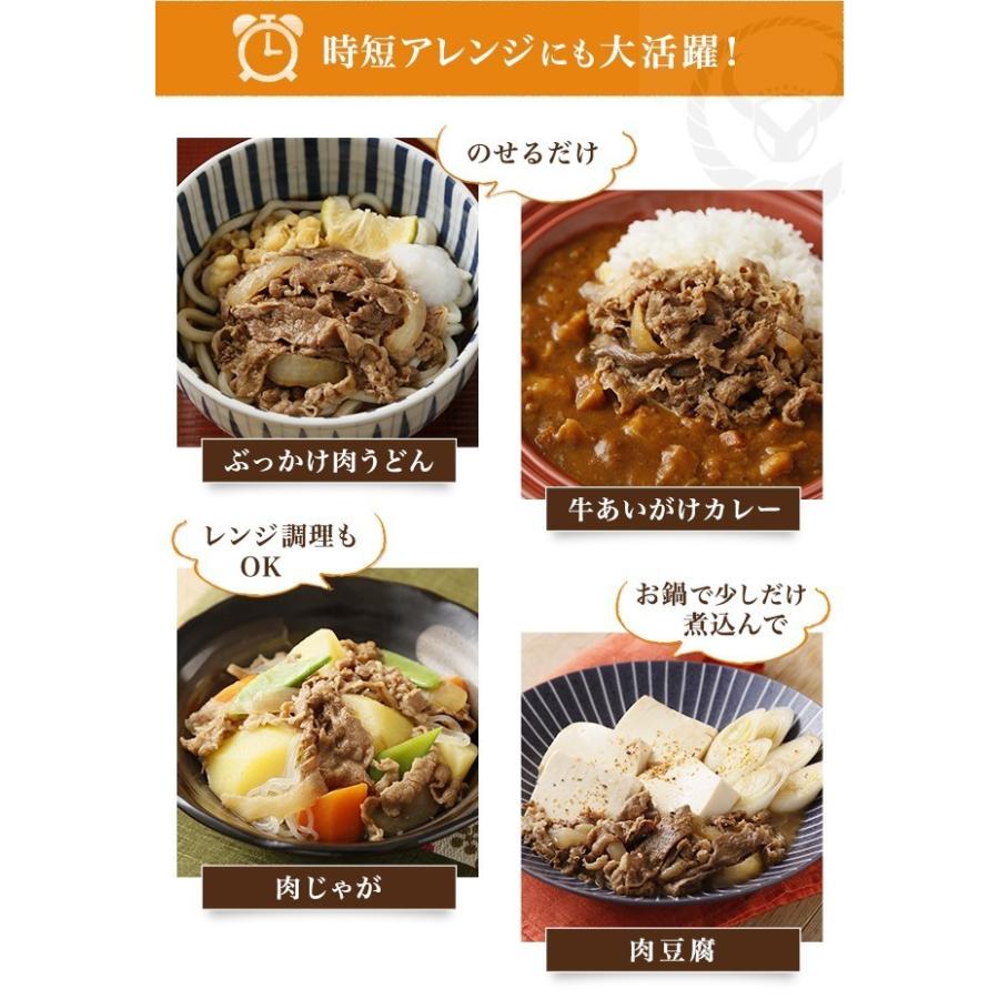 吉野家 牛丼の具6食牛焼肉丼の具6食セット 計12食入 食品 真空パック 惣菜 レトルト 簡単調理