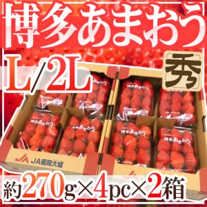 福岡産いちご ”博多あまおう” 秀品 L 2Lサイズ 約270g×4パック×《2箱》 送料無料