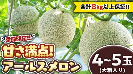 季節限定 ！ 甘さ満点 アールス メロン 大箱 （ 4〜5玉 ） 先行予約 果物 フルーツ 農家直送 産直 青肉メロン 特産品 マスクメロン[BC046sa]