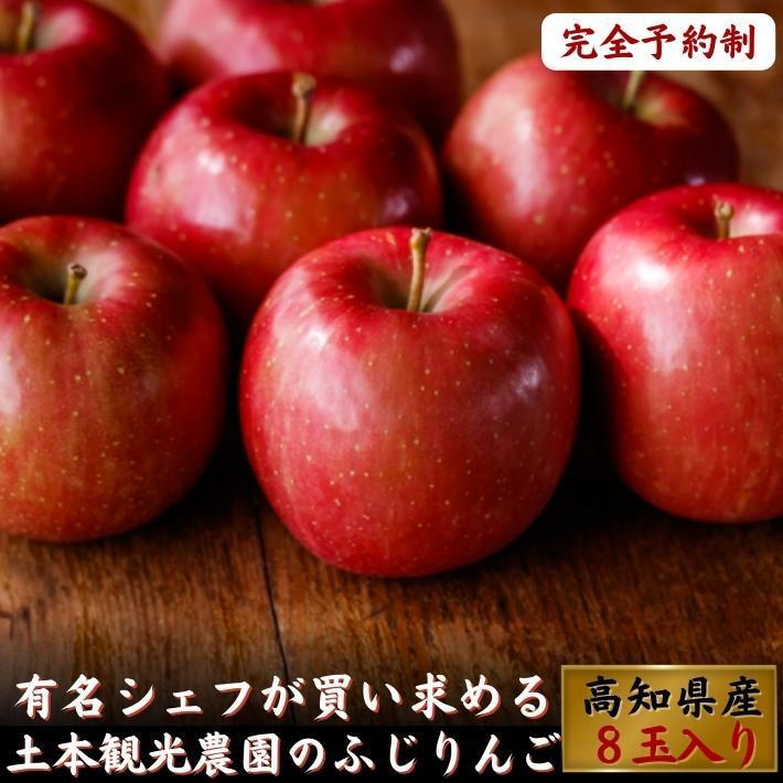 2024年度予約 高知県産 りんご ふじ  減農薬  有機肥料 8玉入 土本観光農園 ギフト 産地直送