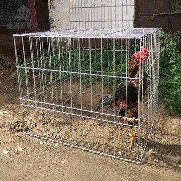 免運開發票 雞籠 養殖籠 兔籠 方籠方雞籠斗雞罩籠火雞籠珍珠籠鴨籠鵝籠長跑籠圓籠拆裝折疊組裝 八折下殺ly14