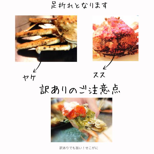 セコガニ せこがに 特大サイズ 10枚（訳あり180g前後）山陰沖産 訳有り 親がに ご自宅用 セイコガニ  蟹 香箱カニ 送料無料