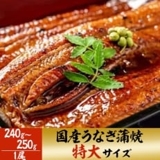 「国産うなぎ蒲焼(特大サイズ)」1尾(240g～250g)