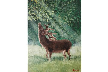 鹿风景 原创艺术 动物画 手绘 RinaArtSK