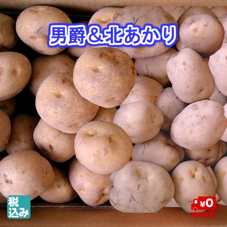 北海道ニセコ産　男爵＋北あかりＬ各4ｋｇ　減農薬・減化学肥料栽培 秋の味覚ＮＯ１