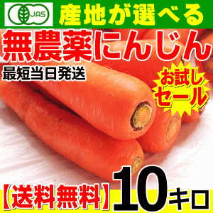 出荷中 産地が選べる無農薬にんじん 10キロ 訳あり 送料無料 にんじんジュースに最適な無農薬人参10kg