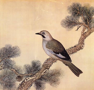 故宮鳥譜059白菘鴉仿古畫復制名人字畫名家書畫29X32花鳥畫