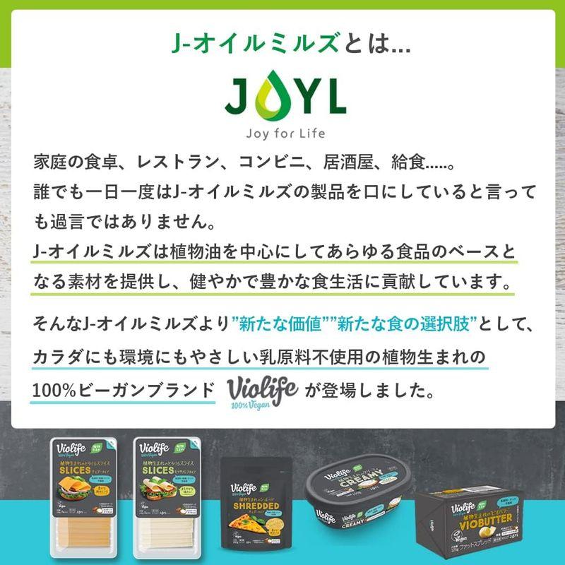 JOYL ビオライフ 植物生まれのチーズ ブロック スモークタイプ 100g