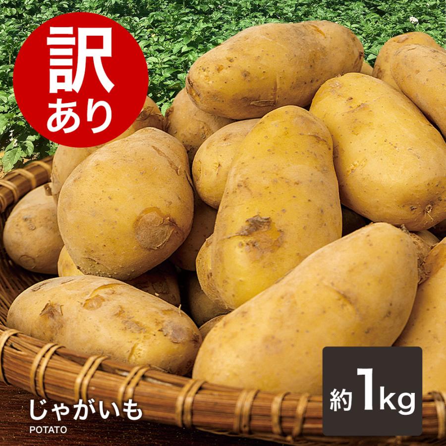 訳ありじゃがいも ジャガイモ 送料無料 1kg メークイン 野菜 わけあり おトク