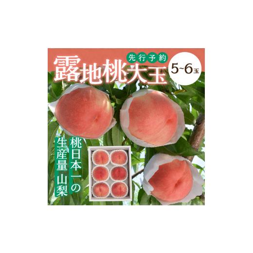 ふるさと納税 山梨県 甲府市 〈2024年度配送分〉露地桃大玉 5-6玉（2024年6月下旬〜8月中旬にかけて順次配送予定）