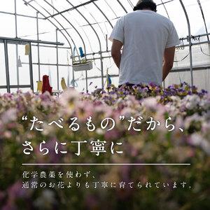 ふるさと納税 食べられるドライフラワーおまかせ5点セット（ドライエディブルフラワー）　A-G13　87farm 滋賀県東近江市