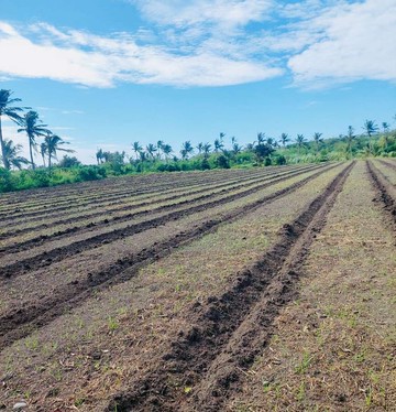 東河鄉近省道 臨路大面寬 風景區旱地.｜台東縣東河鄉都蘭
