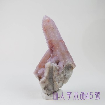 仙人掌水晶45號(Cactus Quartz)