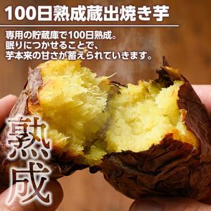 ふるさと納税 akune-1-12 100日熟成！鹿児島県産紅はるか・焼き芋と蒸しスティック(各500g×各1袋)国産 さつまいも 芋 サツマイモ さつ.. 鹿児島県阿久根市